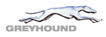 Greyhound